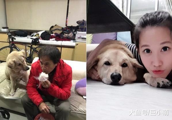 妈妈每天半夜偷偷跑出去，被爸爸以为有外遇，结果是跑去喂流浪狗