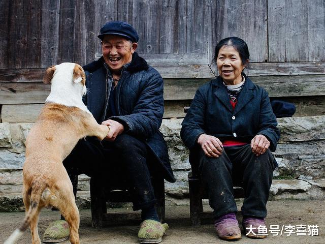 长寿狗狗均具备的四大要点，铲屎官学会后令爱犬不见老态