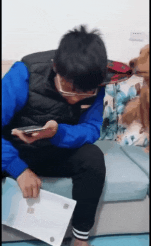 小主人玩手機，金毛叼來書本逼小主人學習，狗子比老師家長還嚴厲