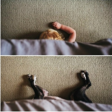 ‘萌娃与狗’傻傻分不清楚，国外玩出新花样萌娃与狗自拍，真的佩服这家主人，这是实力坑娃啊 ，哈哈！