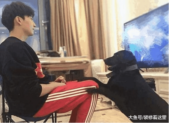 牛骏峰的豪宅曝光，户型面积大，但是客厅连沙发都没有吗