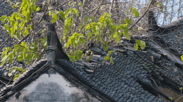 杭州夫妻花150万盖房，和双方父母同住，解决了养老、养娃问题