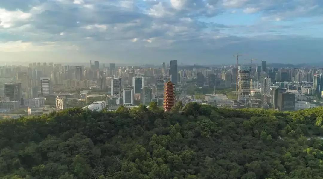 舜山府二期丨教育专题活动，豪宅品质的另一种呈现