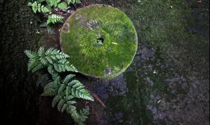 廚房搬進庭院 · 有酒有肉有故事