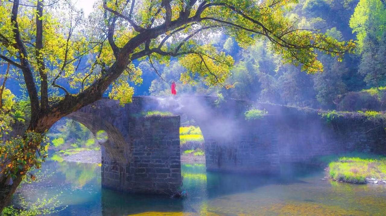 上海社保五年限购解禁的第一批，现在都怎么样了