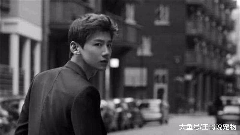 白敬亭没有经纪公司，却发展成一线明星，粉丝：靠这6个人就够了