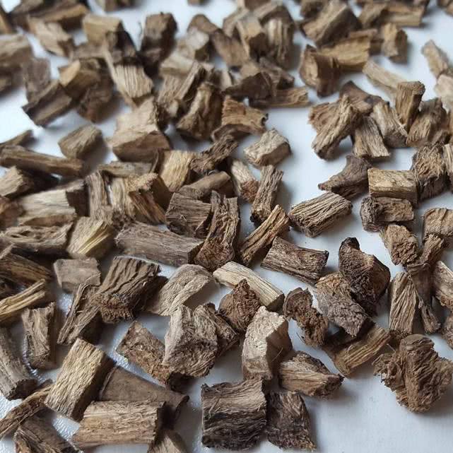 这种植物老外不识货, 在我国可是一宝物, 可入药可食用!