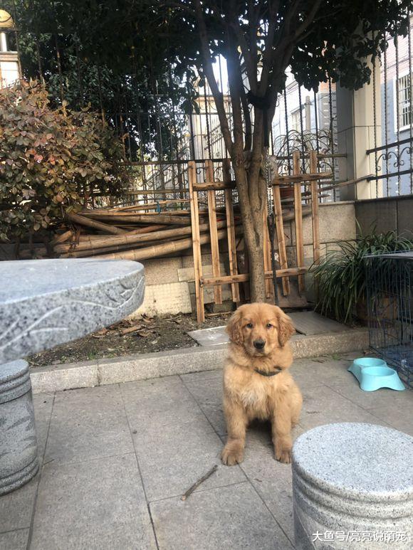 有吃有喝并不快乐，我想要自由的生活，没自由不开心