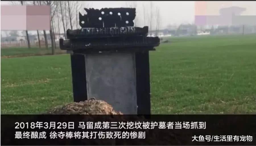 祖坟被挖三回, 儿子打死毁坟者, 究竟多大的仇恨?