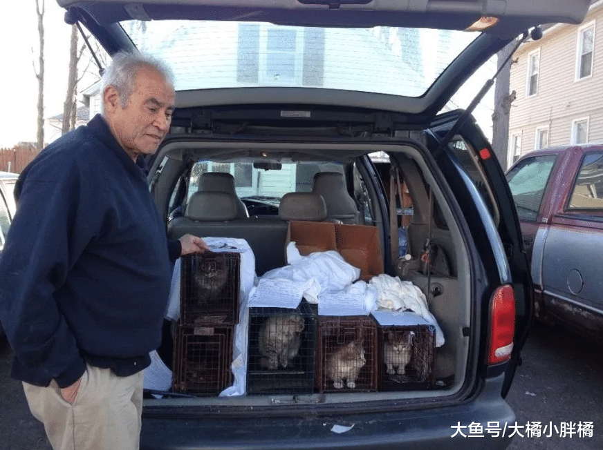 大叔坚持照料流浪猫24年，靠捡废品维持生计，却养活了上百只猫