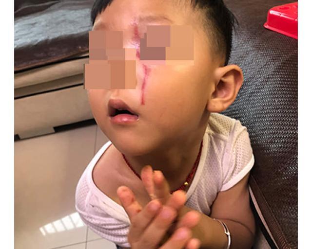 每一条不栓绳的狗后面都可能藏着一个无视社会规则的野蛮人