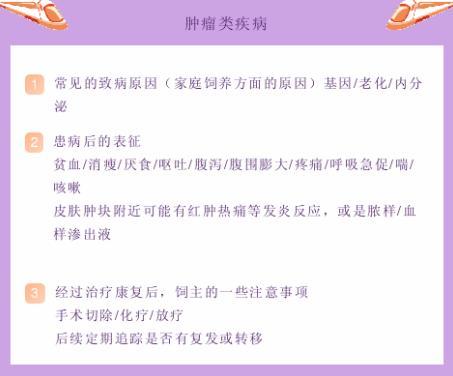 怎么養狗不生病？別買一針疫苗狗，少喂骨頭，買除濕機多梳毛