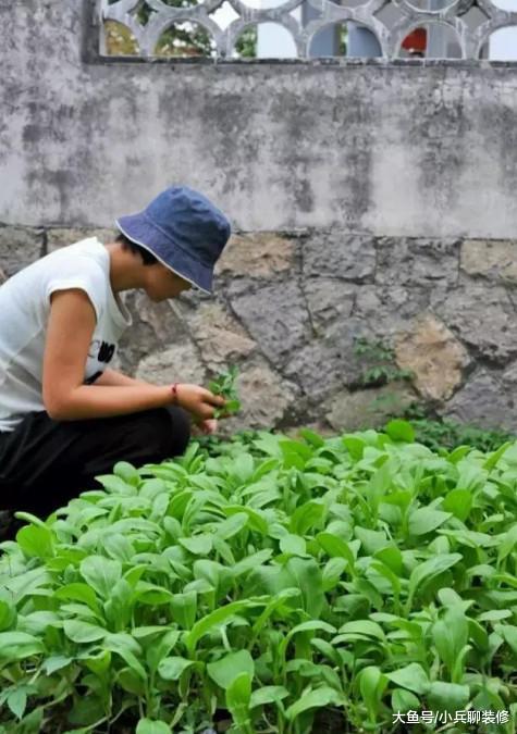 女教师厌倦都市生活，花4万租农村小院，看完有种回农村的冲动！