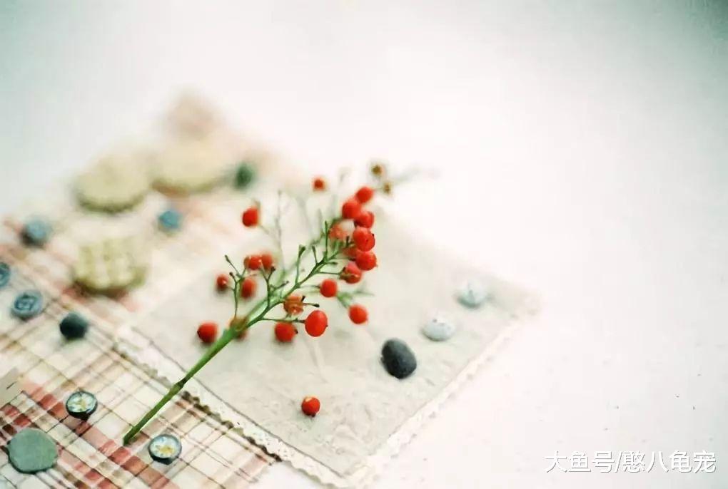 小隐的素言素语: 馥郁, 含着香而来。