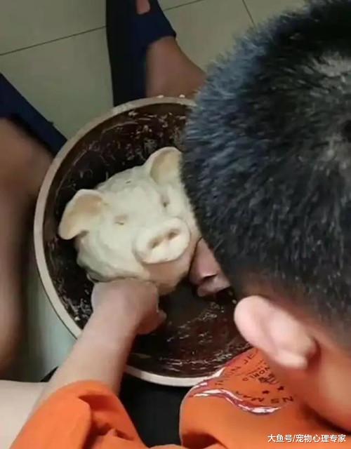 儿子想吃饺子，妈妈便让他帮忙和面，5分钟后一看下不去手了
