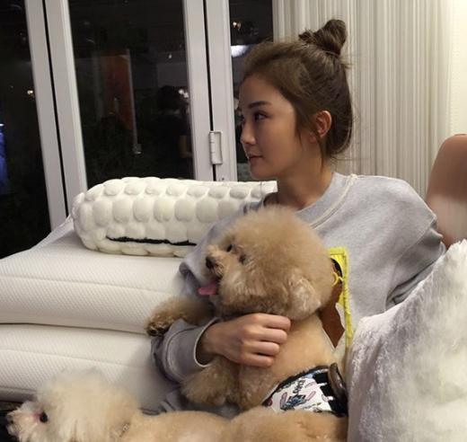 带你看看蔡卓妍的家，房子很有香港的特点，连明星也要“蜗居”