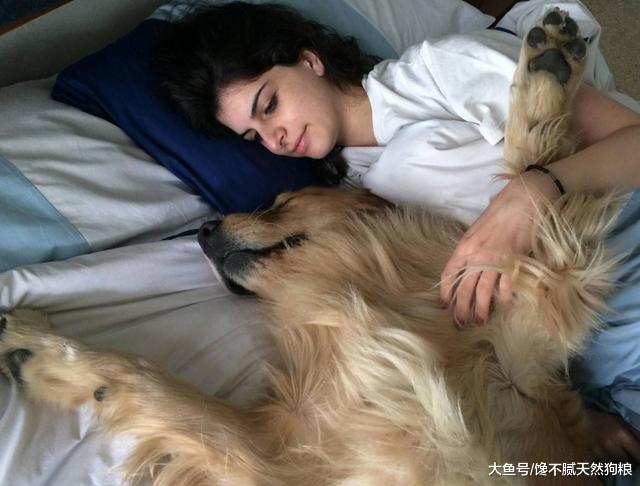 为什么女主人不能跟狗狗太过亲近? 有这5点坏处!