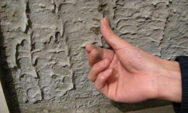 新房2年不到墙砖就脱落, 师傅: 地砖上墙用墙砖贴法, 不脱落才怪