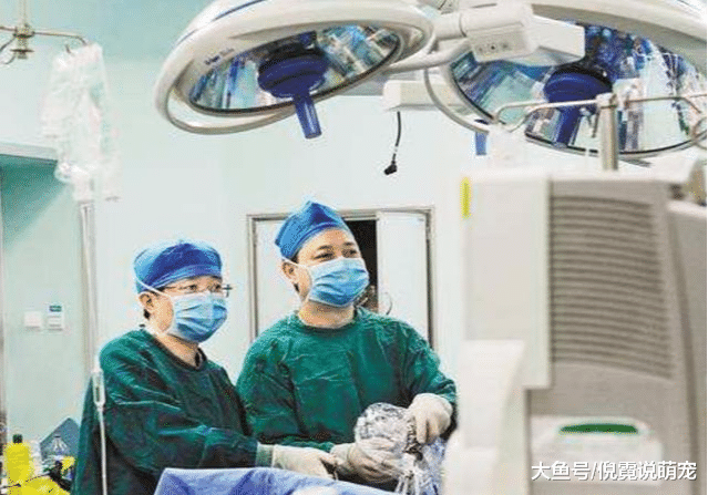 一场大型手术要十几个小时，那么主刀医生吃饭怎么解决？涨知识了