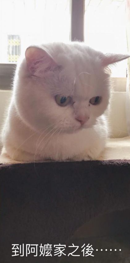 桃园四结义，最后一个是谁