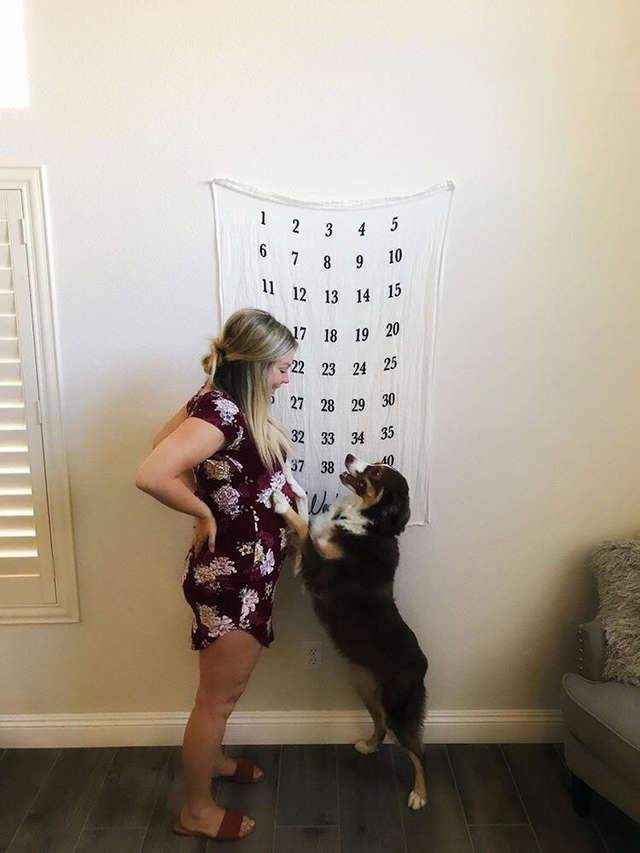 宝宝午睡后哭泣不止，狗狗急忙赶来：我会保护你的！