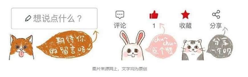 幼猫初到新家时弱小无助，可半年后成功逆袭，凭借体重压制大猫！