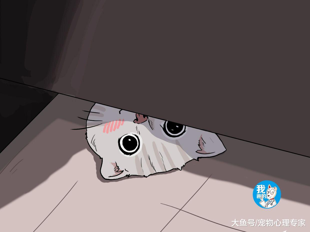 女子上厕所时，感觉有人盯着自己，低头一看笑出鼻涕泡