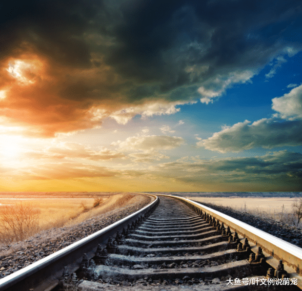 自驾出行累？这些车品值得备！开车安全不疲惫