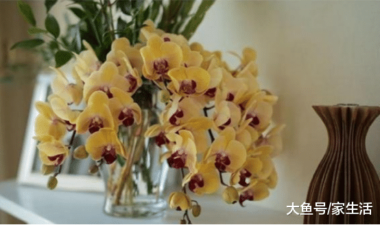 晒晒张艺谋一家住的豪宅，单纯看厨房装修，就知房子价值不菲