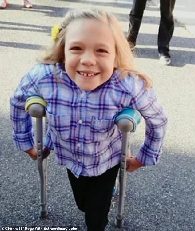 女孩天生患罕见疾病，终日郁郁寡欢，一只服务犬的出现改变了一切