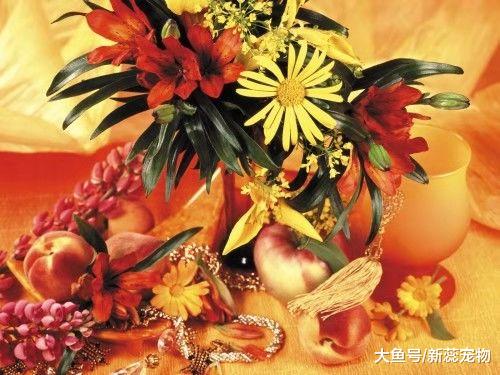 十二生肖中，最能10月来一笔财富，喜成双、财遍地的四大生肖