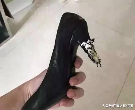 八千块买的鞋子，被阿拉斯加给发现后，网友：它帮你鉴定真伪！