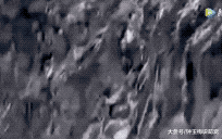 山羊这种生物，当真是牛bility！