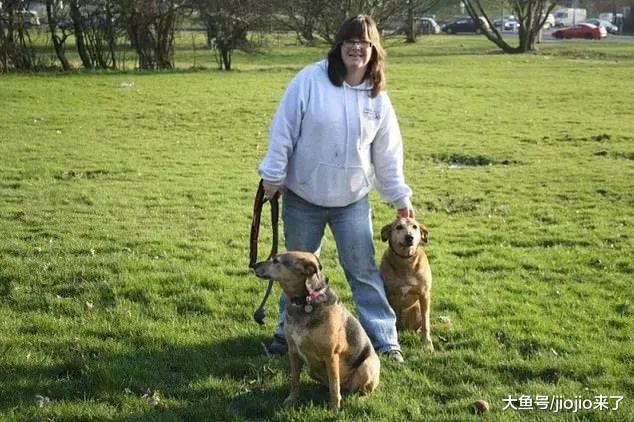 职业遛狗者在殴打客户的狗时被拍下……法官是这样判决, 网友大赞