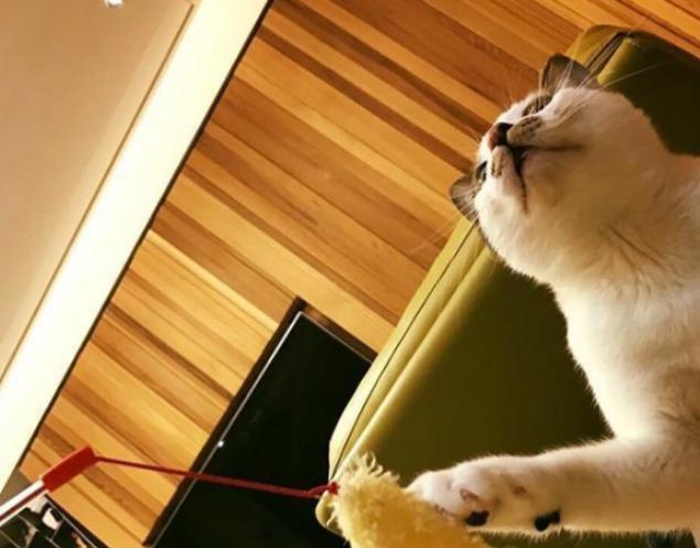 带你参观谢依霖的家，在家穿的睡衣花里胡哨，平时生活也这么搞怪