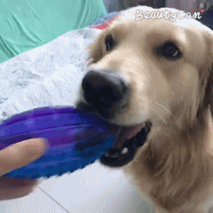 滴~这是一辆通往幼稚园的车