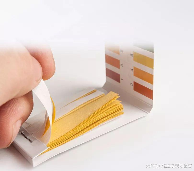 鱼友入门：从检测酸碱度到调酸技巧