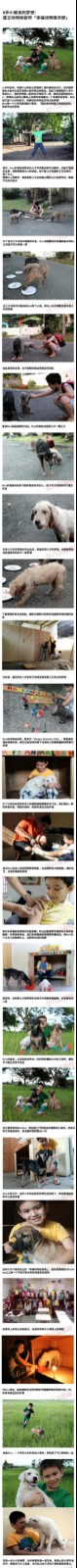8岁小孩帮狗狗找个家， 建立动物收容所