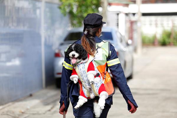 泰国28岁女清洁工爆红，只因每天背着狗狗上班，只因担心狗狗寂寞