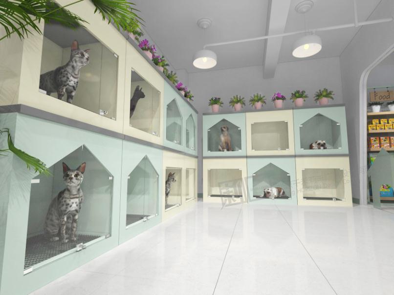 你知道怎么才能开好一家宠物店吗?