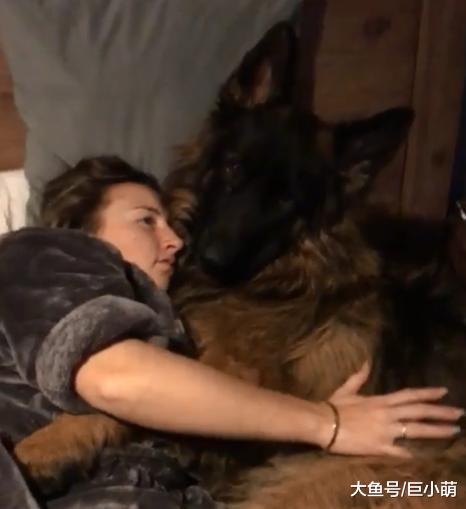 德牧喜欢抱主人睡觉，但整只压在头上，主人确定还有呼吸？