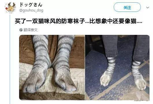 网友买了双猫咪风的袜子, 穿上简直跟真的一样…