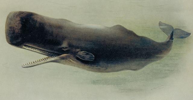 视金钱如粪土？有的粪土比黄金还贵