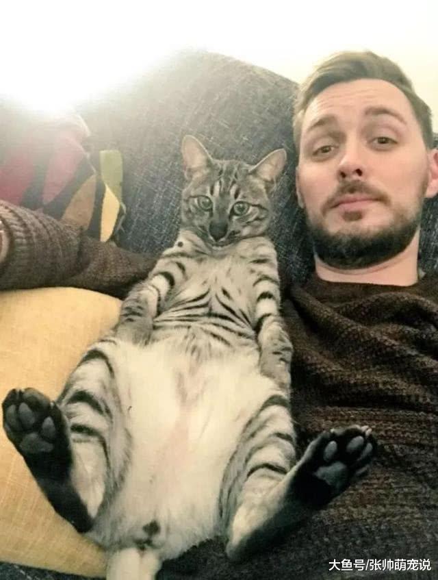 男子回家途中，路边偶遇自家猫咪，猫咪：你也在逛街吗？好巧啊！