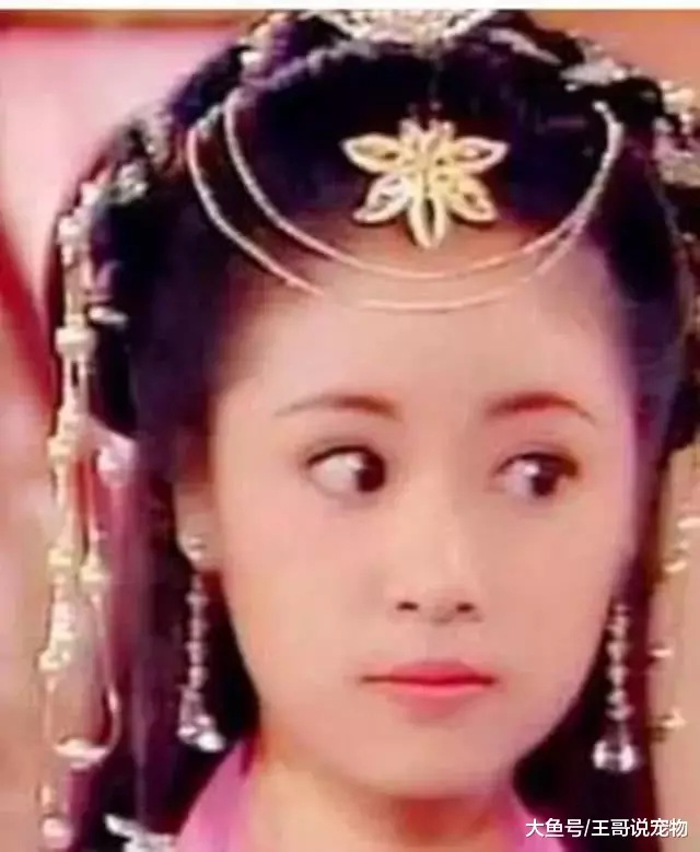 盘点女明星婴儿肥时期, 被林心如美到了, 张柏芝诠释了什么叫清纯