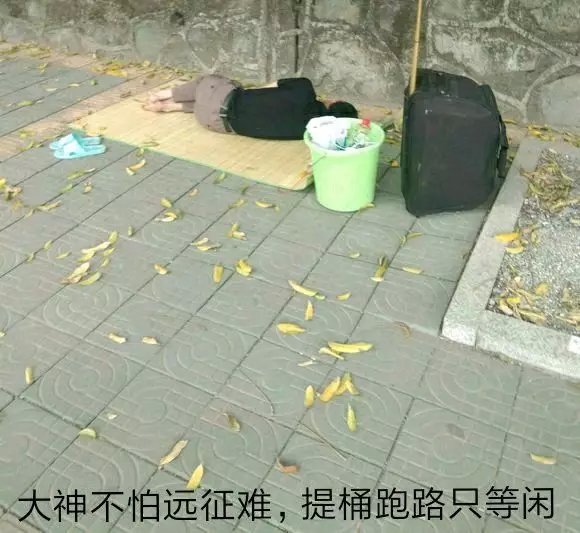 鹤岗买房背后，是23万人聚集的流浪吧
