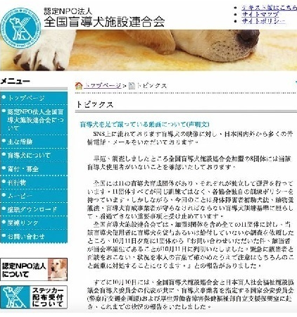 怒不可遏！导盲犬被主人狠狠踹在头部，导致狗狗重伤