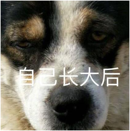 李白杜甫，年轻及老去的你喜欢谁？