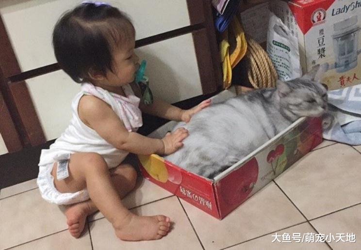 散步遇流浪貓，粉衣萌妹直接倒在地上滾和它神同步瑜珈