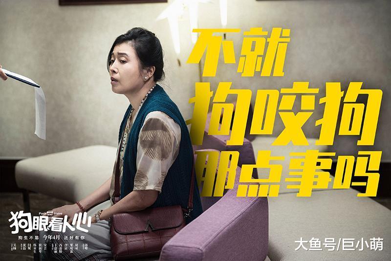 爱犬护主被藏獒咬死！狗咬狗变人斗人，看黄磊闫妮为爱犬讨公道